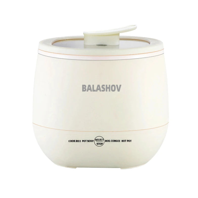 Multifunctional Electric Rice Cooker, Stew Pan, Non-Stick, 220V Hot Pot Cookware for Kitchen