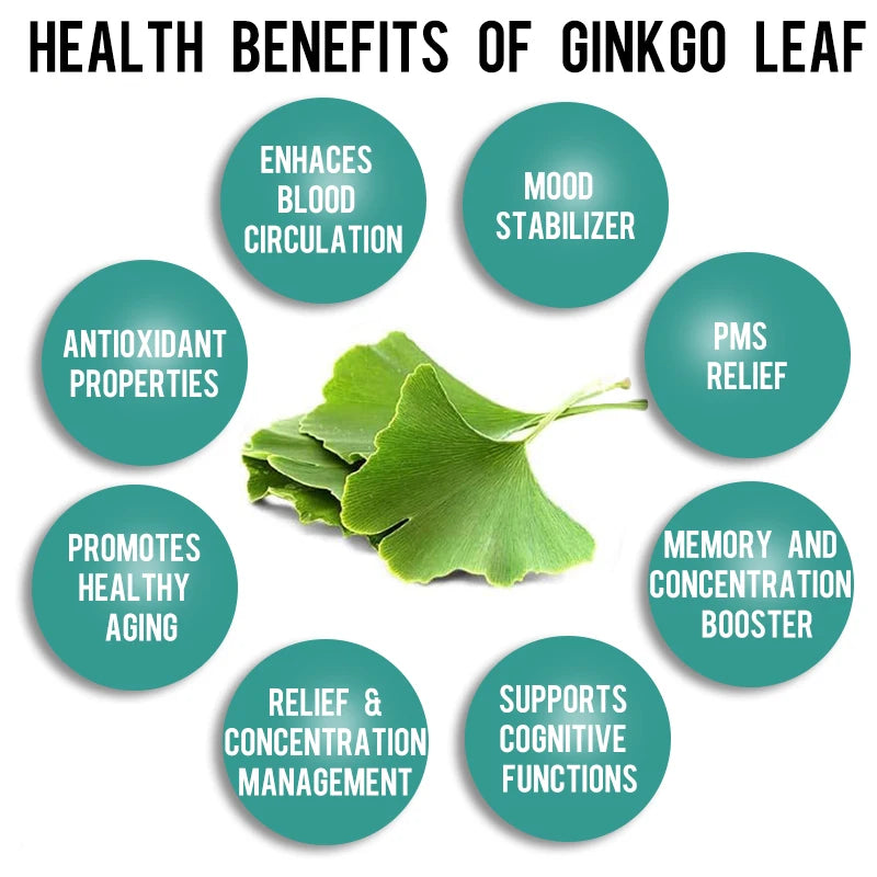 Ginkgo Biloba Brain Supplement, Supports Memory, Mental Alertness and Cognitive Function, 120 Capsules