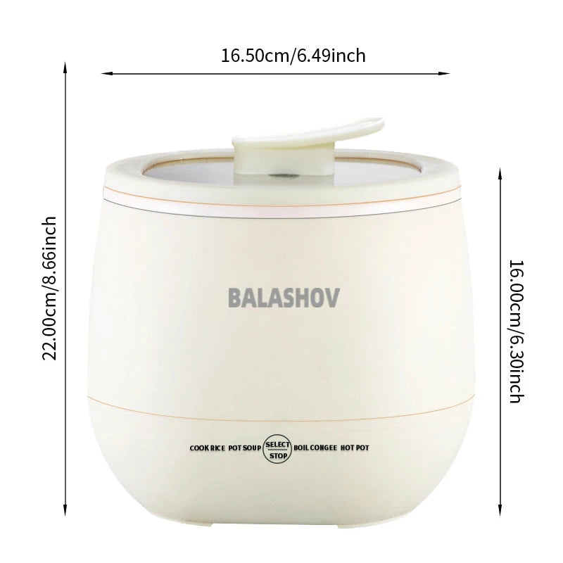 Multifunctional Electric Rice Cooker, Stew Pan, Non-Stick, 220V Hot Pot Cookware for Kitchen